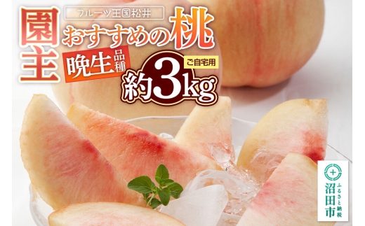 果物 園主おすすめの桃 晩生（おくて）品種 約3kg 詰め合わせ ご自宅用 フルーツ王国松井 [もも フルーツ くだもの 果物]