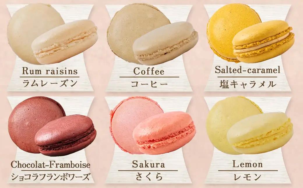 静マカロン缶～選べる8個セット～〔LG-C202〕_(都城市) 日向夏 マンゴー いちご ショコラ バイオ茶 黒ごま ラムレーズン コーヒー 塩キャラメル ショコラフランボワーズ さくら レモン 和三