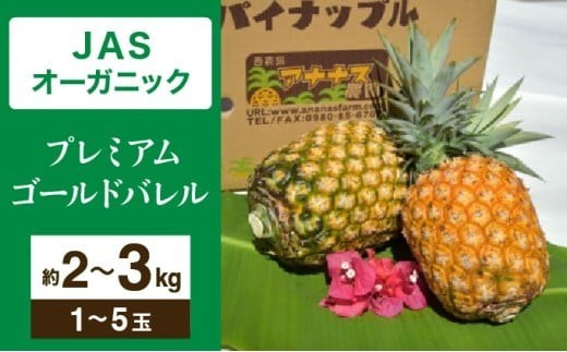 
                  ＜選べる容量＞【JASオーガニック】 プレミアムゴールドバレル 約2kg~3kg 1～5玉
                