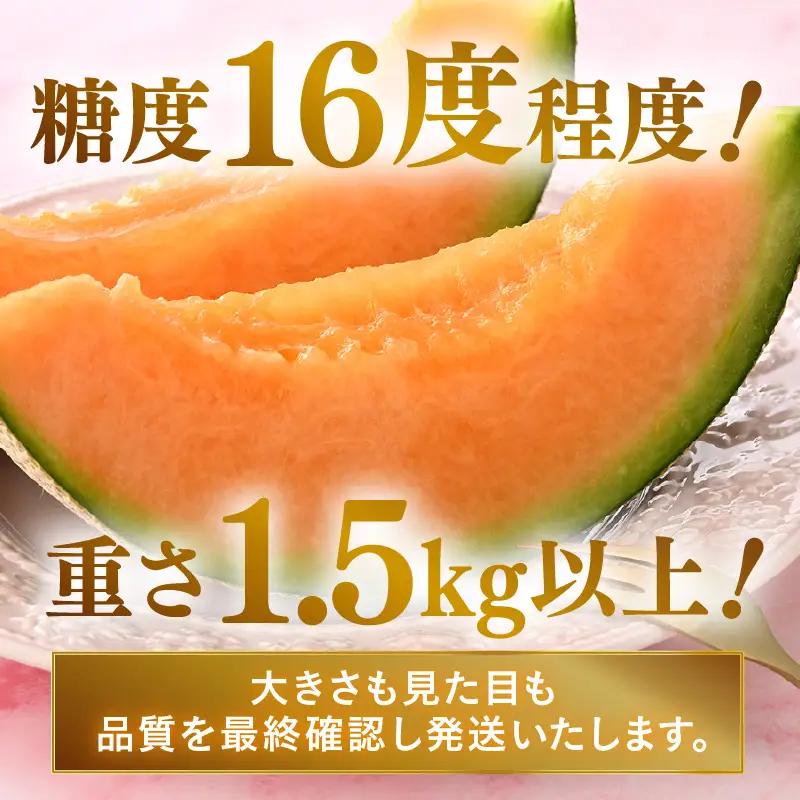 【先行予約】赤肉パリスメロン 秀品 2玉（1.5kg以上×2玉）【アールス系赤肉メロン】《糖度16度程度！1株1果採りで育てる高級メロン！》／ 果物 フルーツ 農家直送 赤肉 マスクメロン アールスメ