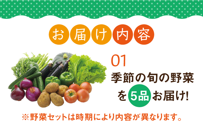 【全2回定期便】壱岐産米（つや姫）5kg・旬の野菜 5品《壱岐市》【壱岐市農業協同組合】お米 季節 セット ごはん [JBO132]