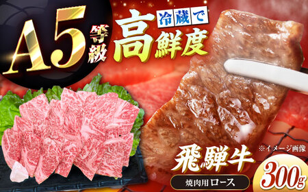 飛騨牛 A5 ロース 300g / 恵那市 / 東美濃農業協同組合 [AUFX007]
