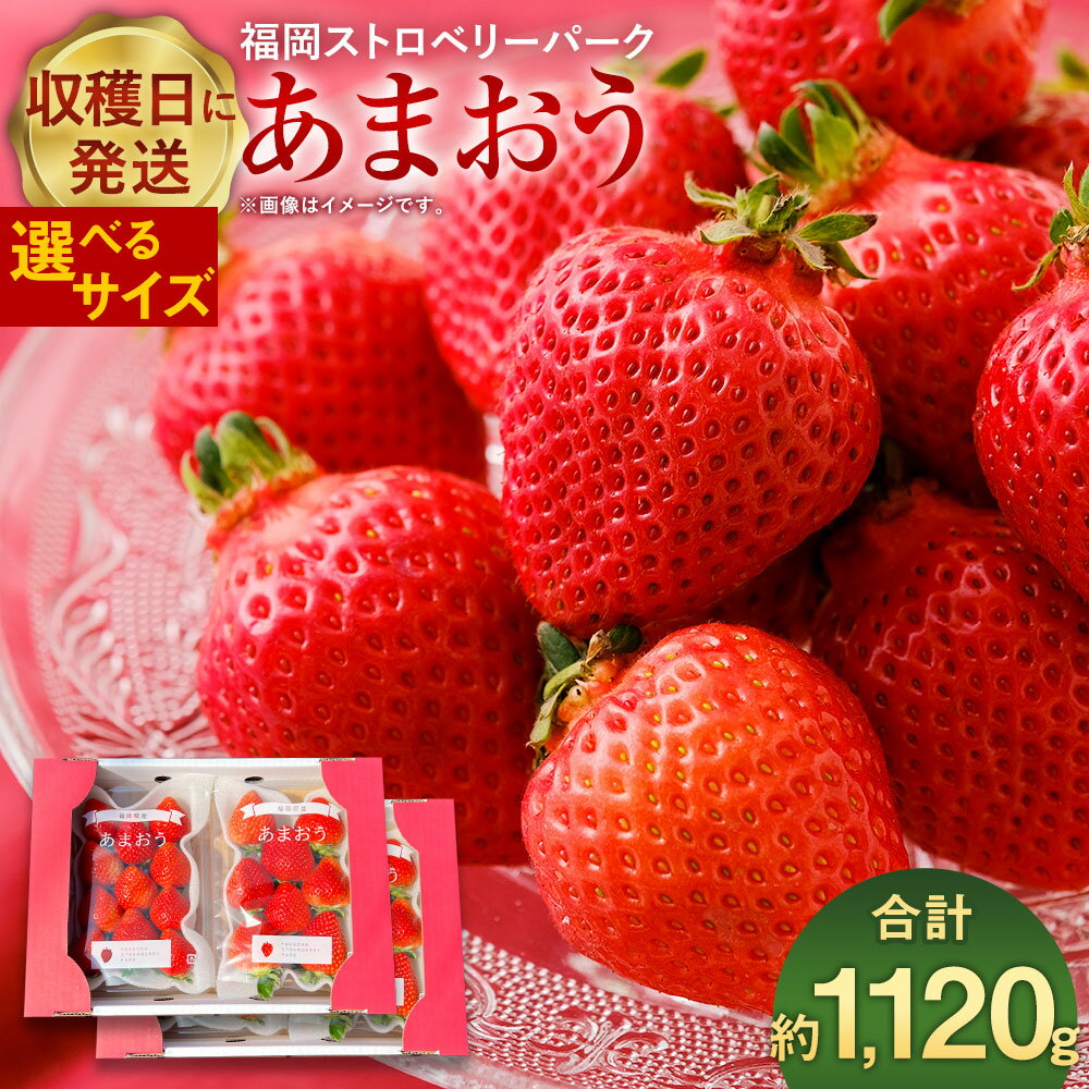 【ふるさと納税】＜選べるサイズ＞ いちごの王様 あまおう 約280g×4パック 合計約1120g 通常 or 小粒 【2026年1月上旬～4月上旬発送予定】 いちご イチゴ 苺 粒数・大きさはおまかせ 朝採り フルーツ 果物 国産 冷蔵配送 送料無料