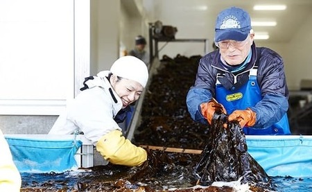 広田湾漁協からお届け！ 広田湾の 塩蔵こんぶ 1.2kg (300g×4袋)【 小分け 三陸産 天然 厳選 肉厚 塩蔵 新鮮 海藻 昆布 魚介類 魚介 海産物 海の幸 】