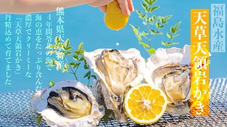 福島水産の天草天領岩かき 約2.5kg