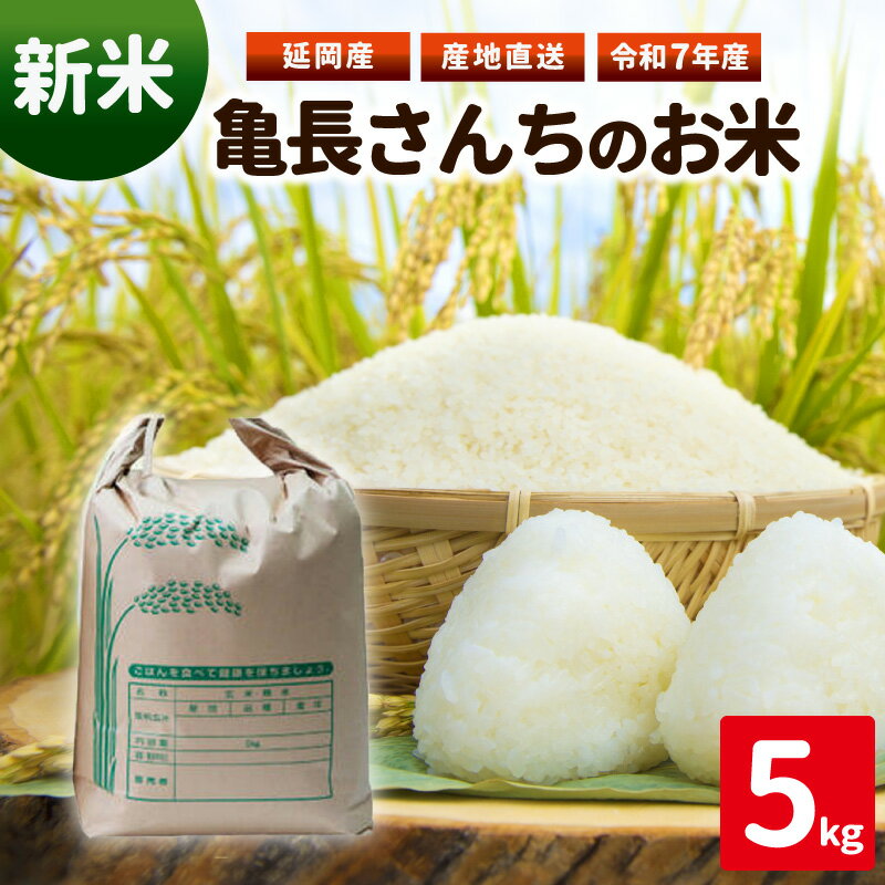 【ふるさと納税】令和7年産 新米 ひのひかり 亀長さんちのお米 5kg 国産 宮崎県 延岡市 お取り寄せ 送料無料
