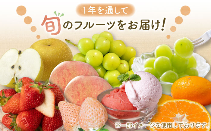 【全12回定期便】佐賀県の生産者を応援！佐賀の旬フルーツ食べ尽くし定期便 / 梨 シャインマスカット 桃 みかん フルーツ / 佐賀県ふるさと納税 [41AAZZ013]