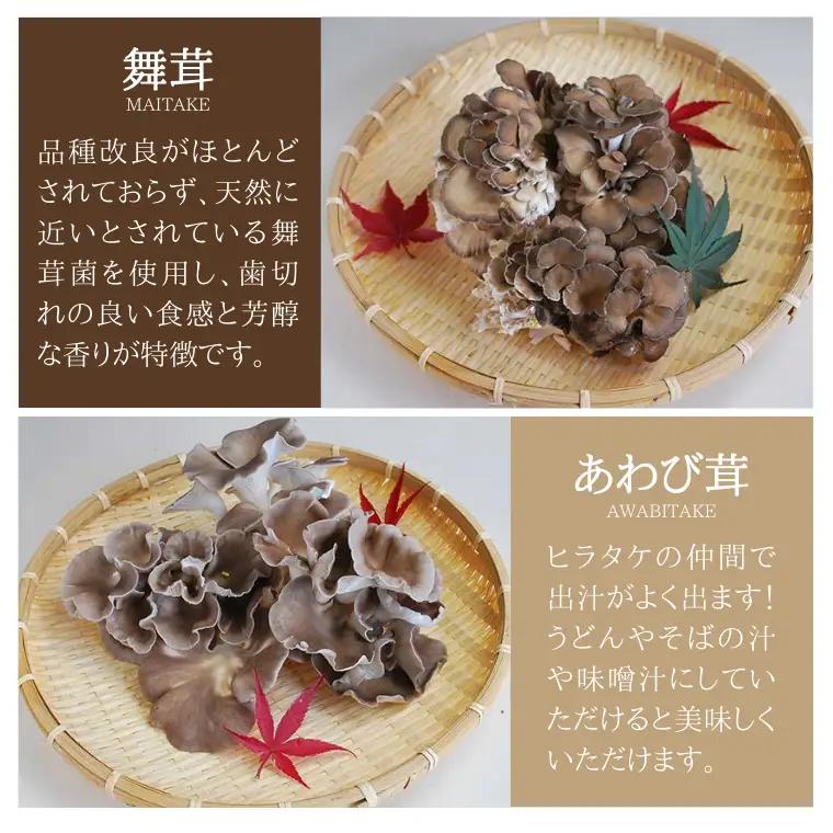 きのこ の 詰め合わせ Lサイズ 約2000g【茨城県共通返礼品 城里町】 キノコ 舞茸 あわび茸 たもぎ茸 しいたけ 花びら茸 [CX003sa]