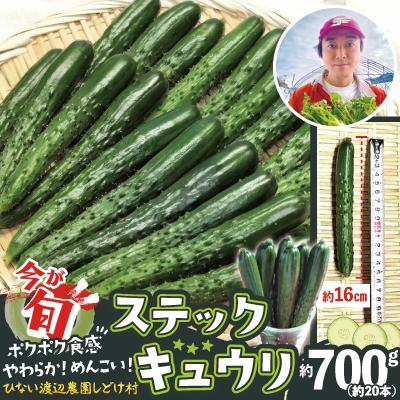 ふるさと納税 大館市 ステックキュウリ ポクポク柔らか!めんこい!約20本
