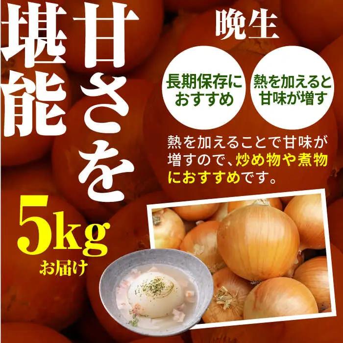 【先行予約 2027年3月～発送】【2回定期便】玉ねぎ定期便 5kg/回 / 玉ねぎ [IAO026]