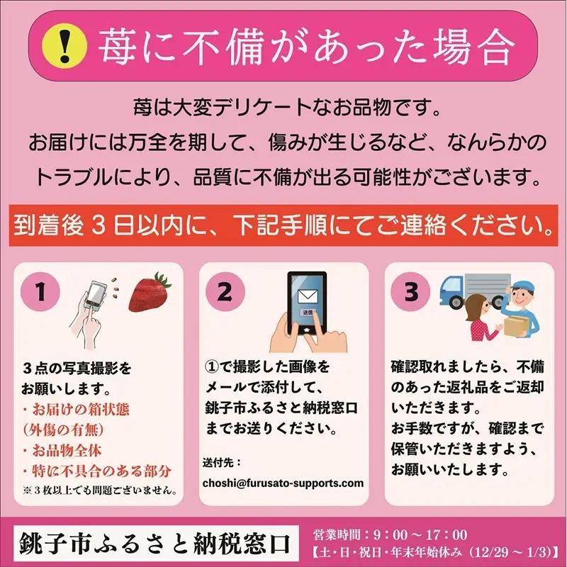 とちおとめ 約2kg いちご 【 とちおとめ 】 先行予約