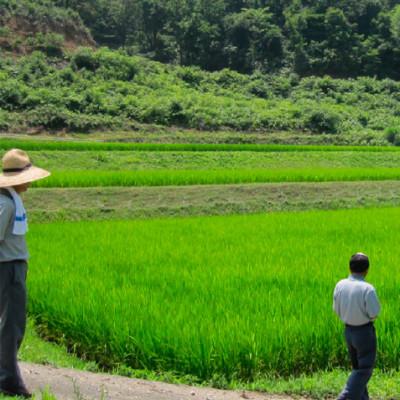ふるさと納税 高岡市 令和7年産 富山県産コシヒカリ5kg |  | 01