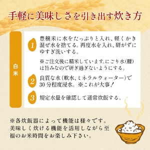 ＜ お試しサイズ ＞ 令和7年産 氷見産コシヒカリ 氣ノ源 豊穣米2合（ 白米 ） お米自慢コンクール優秀賞！ 精米 米 コシヒカリ 富山県産 富山県 氷見市