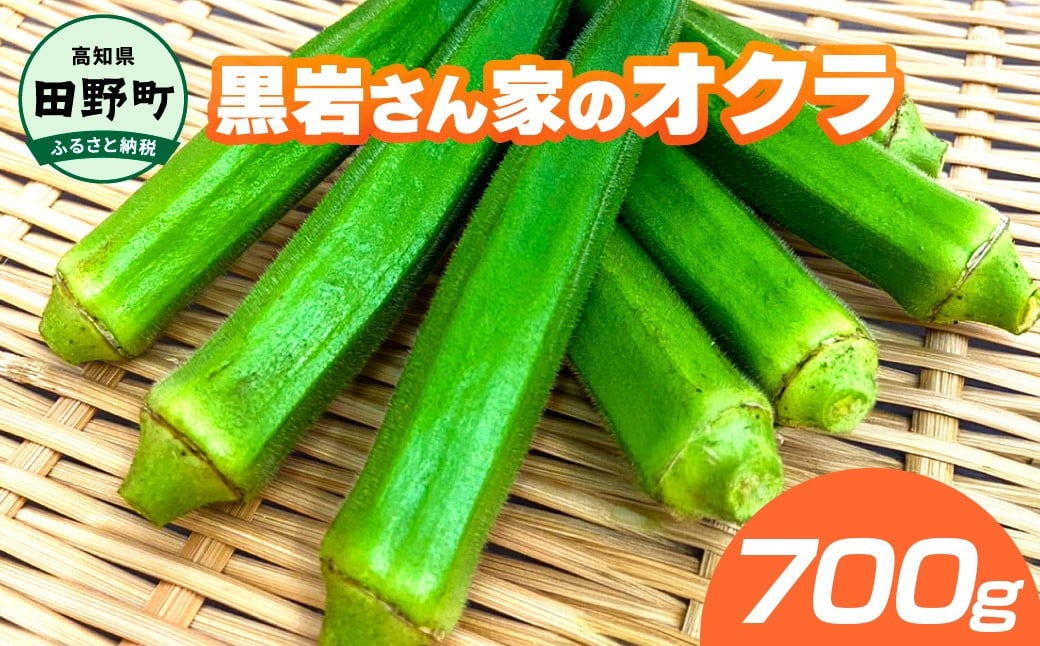 
             オクラ 700g  国産 おくら 国産オクラ 新鮮野菜 美味しい 野菜 厳選 新鮮 おかず 常温 配送 副菜 惣菜 煮物 朝どれ 詰め合わせ 取り寄せ グルメ お取り寄せグルメ お取り寄せ サラダ ふるさとのうぜい 返礼品 高知県 高知 4000円 黒岩さん家のオクラ
          