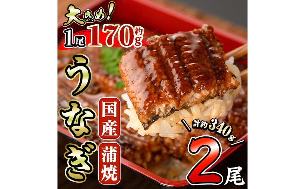 国産 うなぎ 蒲焼 (約170g×2尾) 鰻 タレ かば焼き うな重 うな丼 ひつまぶし 小分け 真空包装 真空パック 【丸正水産】【AW-17】
