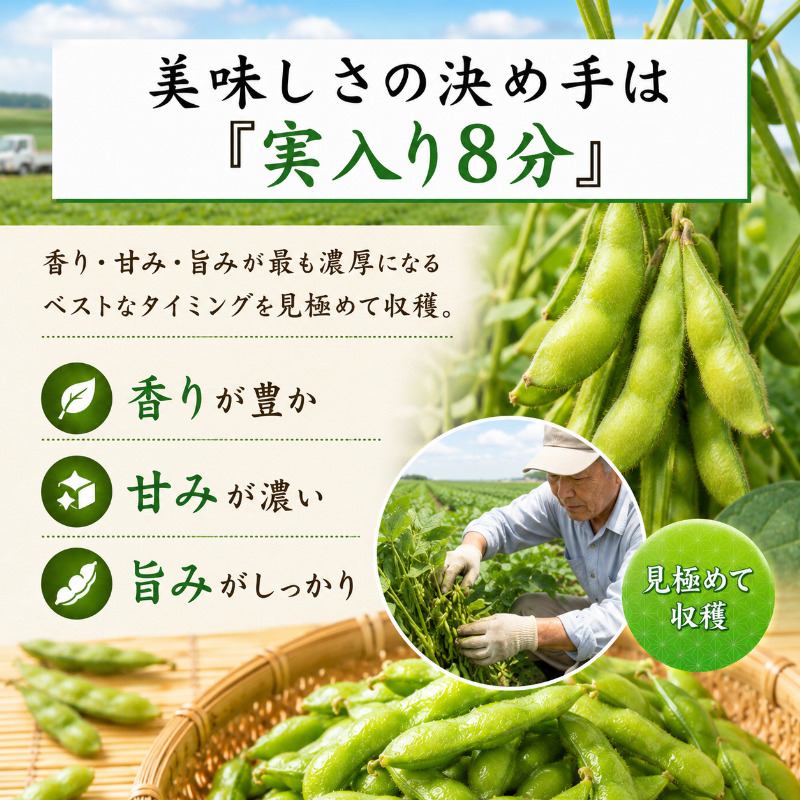 枝豆 くろさき 茶豆 1.5kg (7月中旬～8月上旬お届け) えだまめ 朝採り 新鮮 豆 野菜 冷蔵 産地直送 新潟茶豆 ビール 晩酌 おつまみ 新潟