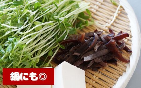 津久見産の肉厚　生きくらげ　80g×6パック（480g）|　木耳