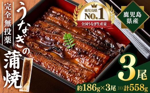 
                  鹿児島県産うなぎ蒲焼 (計約558g / 約186g×3尾) 鰻 ウナギ うなぎ【薩摩川内鰻】 A1109
                