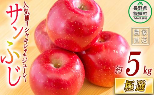 りんご サンふじ 極選 5kg マルハ農園 2026年12月上旬頃から2026年12月中旬頃まで順次発送予定 令和8年度収穫分 エコファーマー認定 信州 果物 フルーツ リンゴ 林檎 長野 予約 農家