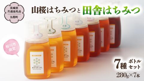 【桜川市限定】 山桜はちみつ と 田舎はちみつ ボトル 全 7種 セット [ピタッとボトルＢ7山桜] 【茨城県共通返礼品／五霞町】  280g×7本 ボトル 生ハチミツ 非加熱 [BS011sa]