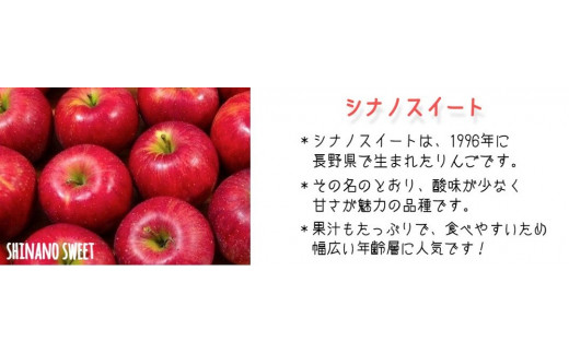 りんご シナノスイート  秀特秀 5kg 丸茂ファーム 沖縄県への配送不可 2024年10月中旬頃から2024年11月下旬頃まで順次発送予定 エコファーマー認定 信州の環境にやさしい農産物認証 令和6