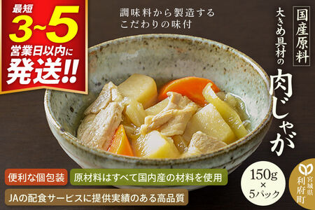 大きめ具材の肉じゃが 150g×5パック 国産原料