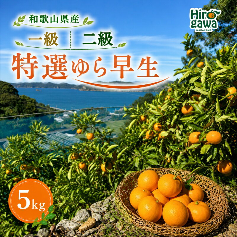 【ふるさと納税】 特選 ゆら早生 5kg 和歌山 広川町産 ※2026年10月下旬～11月中旬頃に順次発送予定頃に順次発送予定 / 和歌山 有田 広川 みかん ゆら早生 由良 早生 柑橘 果物 くだもの ギフト フルーツ 果実 //mandarin //goku