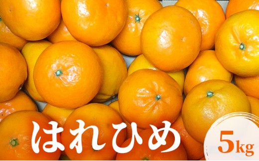 
                  [№5353-0596]はれひめ 5kg 柑橘 果物 フルーツ デザート ※配送不可:離島
                