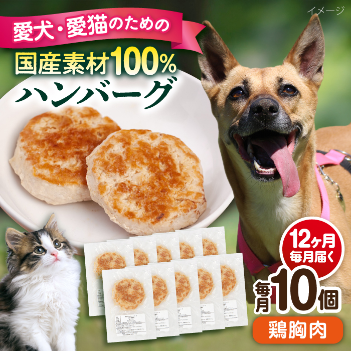 【全12回定期便】ペットフード 鶏むね 100%ハンバーグ 10個セット【ペットフード YMjapan】 [AKEX009]