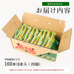 【2026年5月上旬～発送】栽培期間中、農薬の使用を抑えた指宿産オクラ160本(8本入×20袋)(エコオクラグループ/IB166-001) オクラ おくら 減農薬 野菜 夏野菜 旬 特産 夏 新鮮 鹿