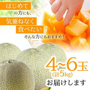 SB0906　庄内砂丘の旬夏 「秀品 赤肉メロン」　約5kg(4～6玉入) 