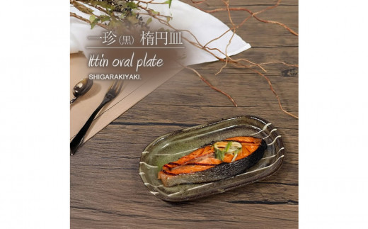 
            信楽焼 楕円皿（小） 陶器 【一珍】
          