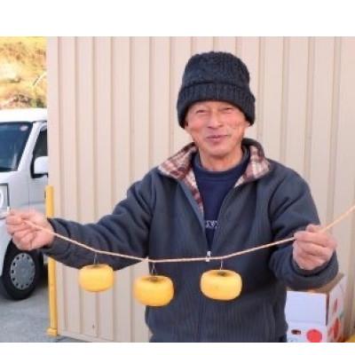 ふるさと納税 橋本市 【先行予約】干し柿セット 約5kg【2026年秋冬配送】柳フルーツ園 |  | 02