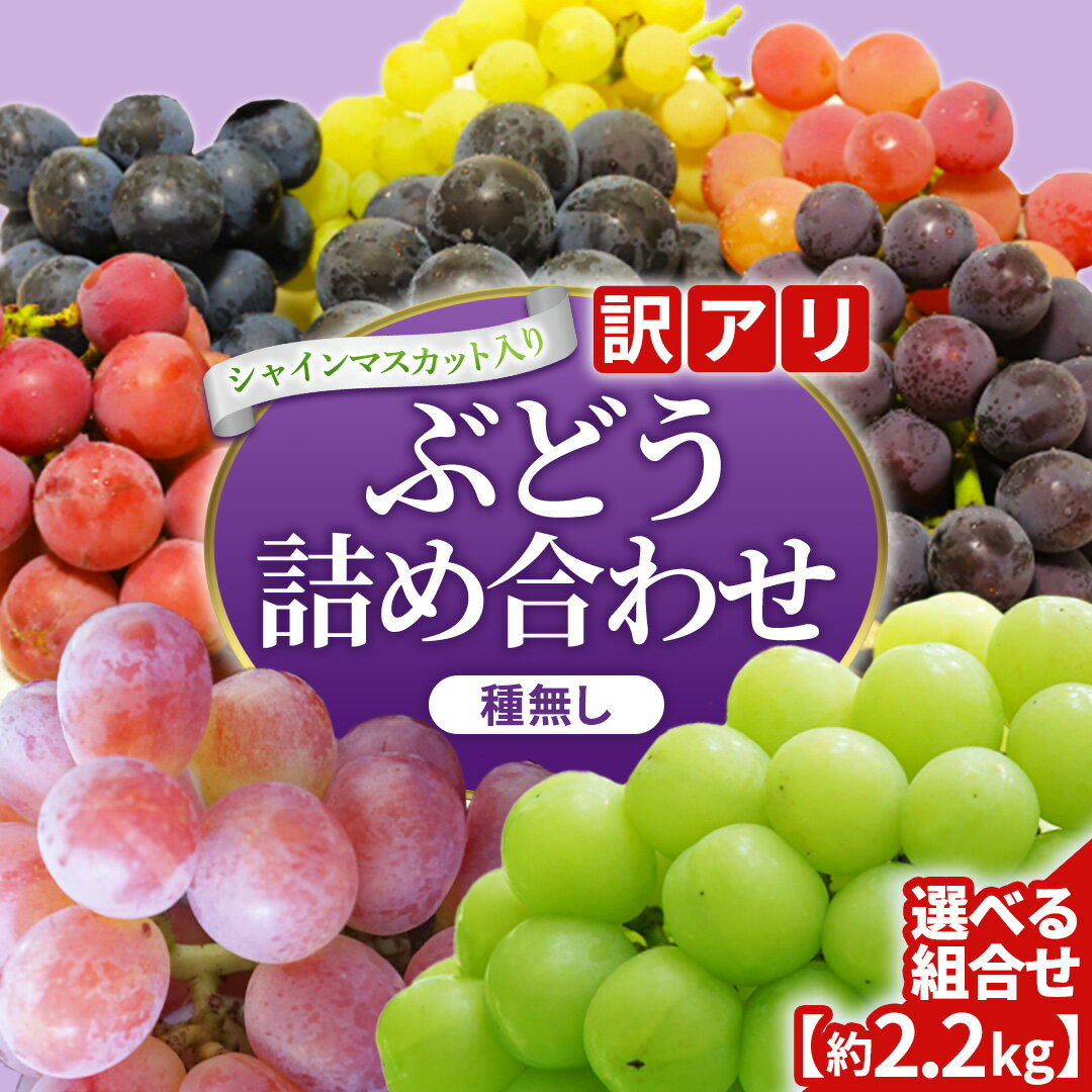 【ふるさと納税】＼訳あり ご家庭用／ 2026年産 ぶどう 食べ比べ 「シャインマスカットと旬の大粒ぶどうの詰合せ」3~5房 種なし品種 選べる 種類 内容量【農家さんおまかせ・直送】(DM004/006)