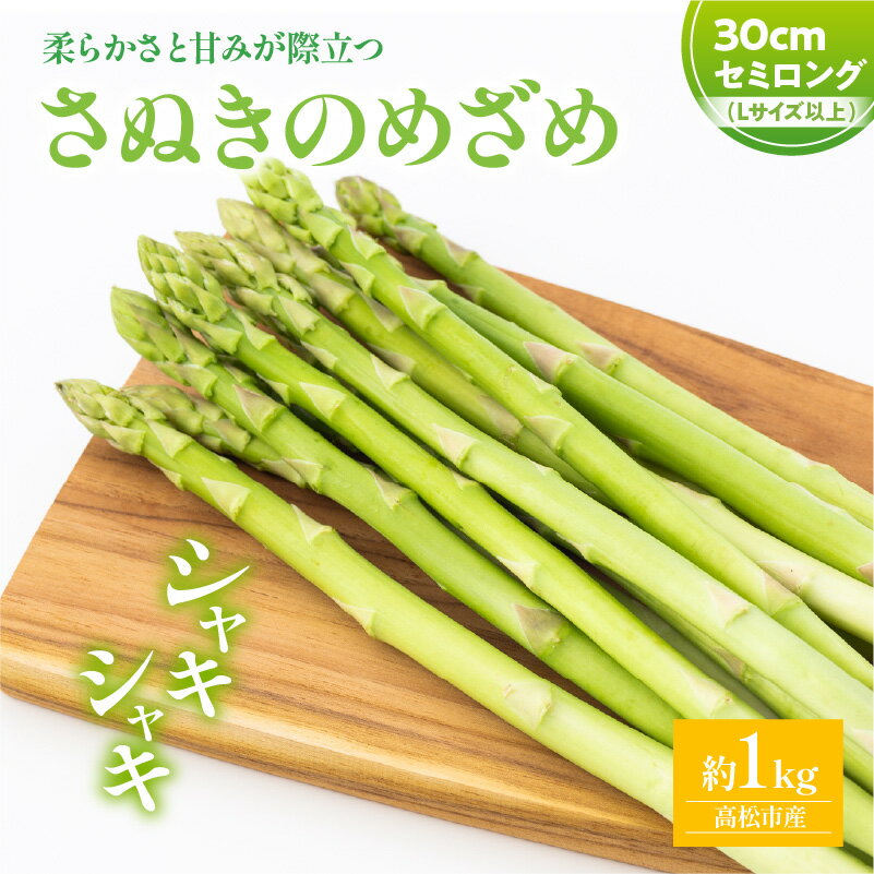 【ふるさと納税】柔らかさと甘みが際立つ さぬきのめざめセミロング30cm(Lサイズ以上) 約1kg【2026-3月上旬～2026-6月下旬配送】 | アスパラガス 爽やか シャキシャキ 香川県 オリジナル 品種 長い ロング 野菜 瀬戸内 高松市