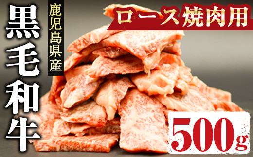 
鹿児島県産黒毛和牛ロース500g(焼肉用カット) 国産 鹿児島県産 黒毛和牛【アグリおおすみ】A288-v01
