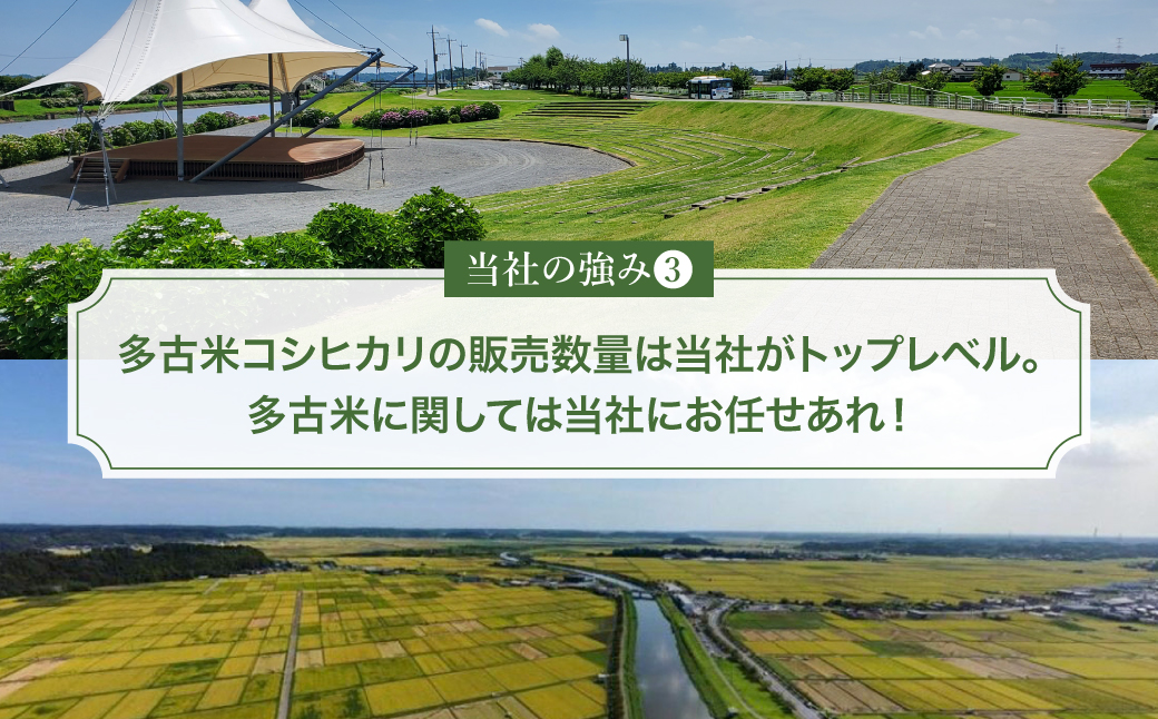 【令和7年産】多古町産いのちの壱 精米10kg(5kg×2袋)【配送不可地域：離島・沖縄県】 TAKE005