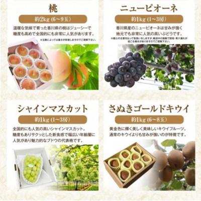 ふるさと納税 さぬき市 【発送月固定定期便】香川県さぬき市　フルーツ厳選定期便(10回便)全10回 |  | 02