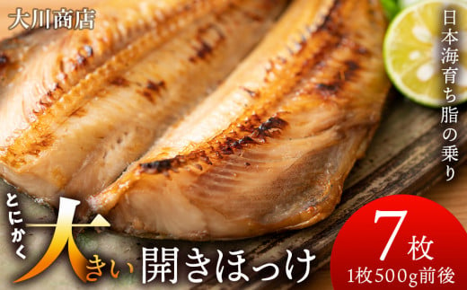 とにかく大きい 開きほっけ 7枚 セット ＜ 大川商店 ＞ ホッケ ほっけ 魚 北海道 干物 冷凍 北海道産