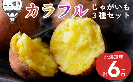 北海道産 カラフルじゃがいも 3種セット 計6kg 上士幌町加藤農場 馬鈴薯 芋 イモ 野菜 詰め合わせ
