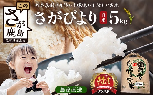 先行受付 令和8年産 新米 さがびより 5kg 佐賀県産 特A評価獲得品種 白米 米 お米 こめ 佐賀県 鹿島市 C-203