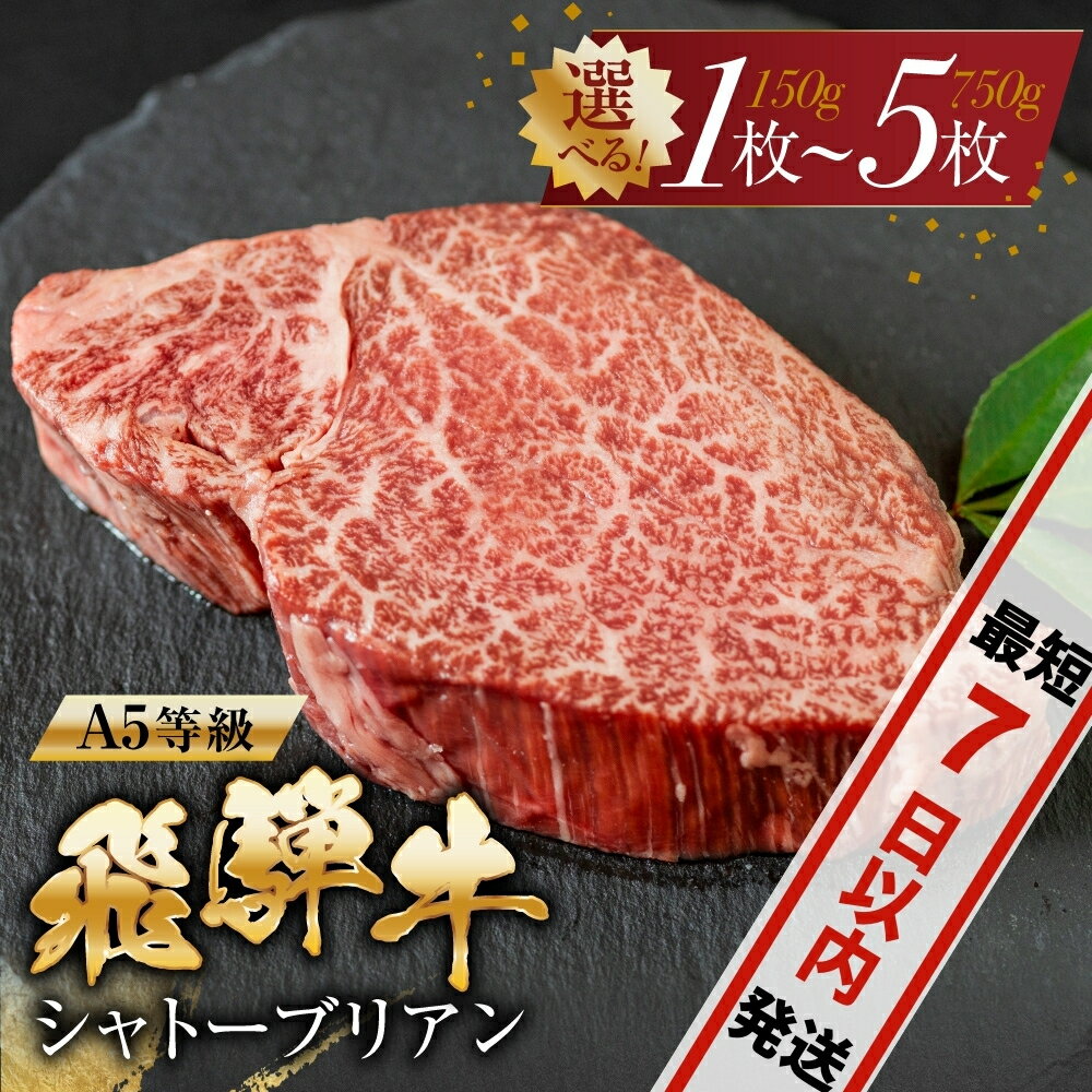【ふるさと納税】【期間限定】飛騨牛 シャトーブリアンステーキ 1枚〜5枚 | A5等級 牛肉 肉 和牛 国産牛 牛肉 肉 ステーキ ヒレ 1枚 2枚 3枚 4枚 5枚 冷凍 岐阜 日時指定 本巣市 トキノ屋 食品 [mt422] 20000円 40000円 60000円 80000円 100000円