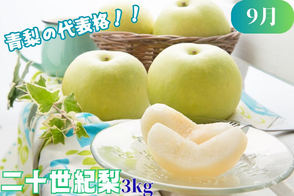 青梨の代表格“二十世紀梨”