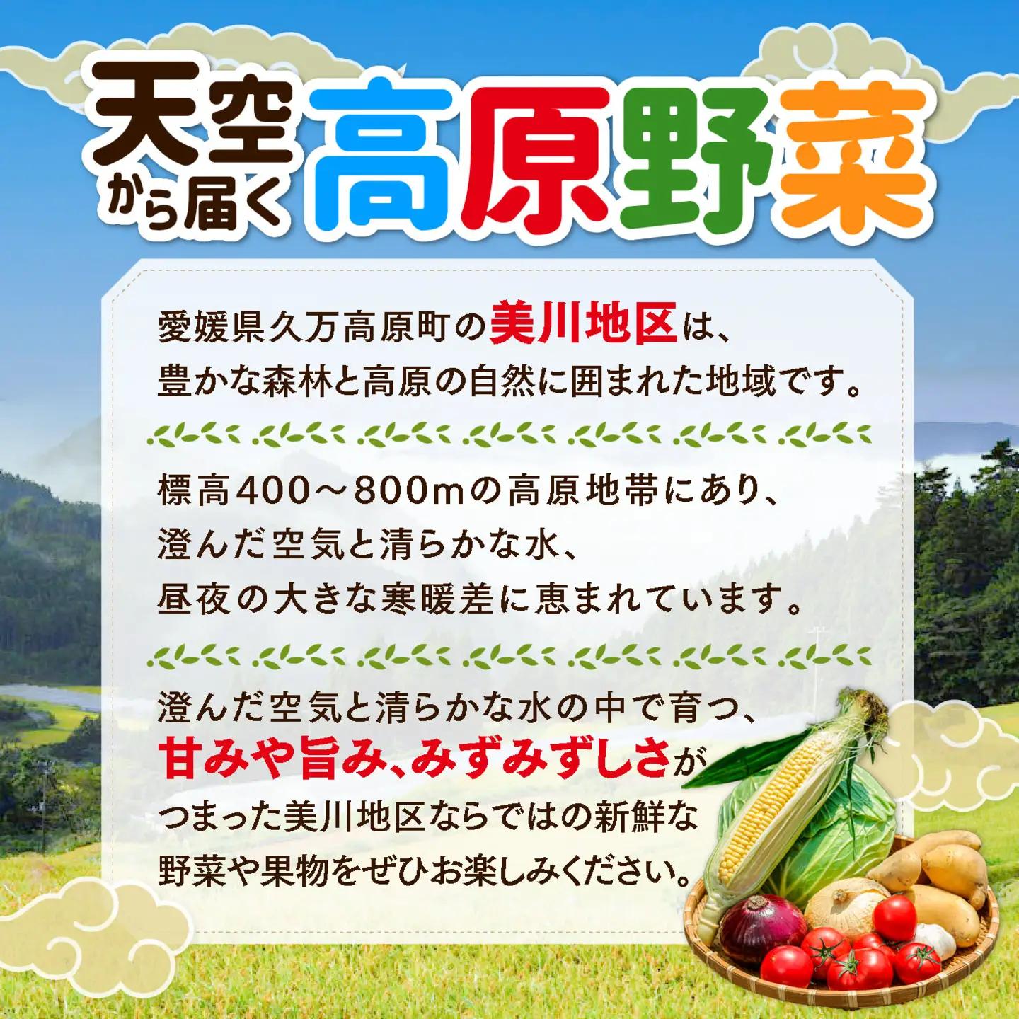 久万高原 天空の旬野菜便2kg 【道の駅みかわ厳選】 | 野菜詰め合わせ 5～6品目 新鮮野菜 定期便 愛媛県産 産地直送