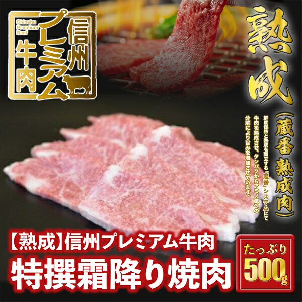 【ふるさと納税】160 信州プレミアム牛肉 【熟鮮】 特撰霜降り肉 焼き肉用 500g 牛肉 霜降り肉 焼き肉 焼肉