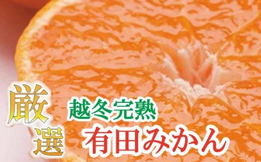 ＜1月より発送＞厳選 越冬完熟みかん5kg+150g(傷み補償分)【ハウスみかん】【光センサー選果】【ikd026B】