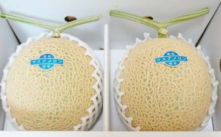 【生産者直送】☆夏作☆ マスクメロン 2玉 合計約3.2kg以上 【2026年7月上旬発送開始】 フルーツ くだもの 果物 メロン めろん 熊本県産