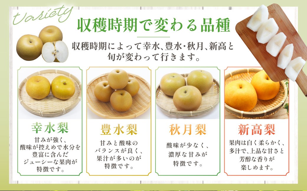熊本市産 梨(幸水・豊水・秋月・新高など) 約1.8kg(3～6玉)