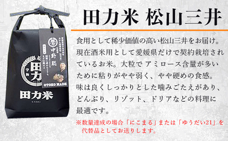 ＜純米大吟醸 田力（750ml×2本）と田力米（2合×2袋）セット＞※1か月以内に順次出荷します。日本酒 お米 酒米 松山三井 にこまる ゆうだい21 特産品 晩酌 お祝い 内祝い 家飲み 宅飲み 中