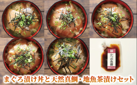 【全３回定期便】指宿発！ご飯のお供セット(指宿山川水産/Z030-1716) 魚 魚惣菜 海鮮 魚介 漁師 ご飯 お供 ごはん おとも 鰹 カツオ かつお なまり節 生節 ふりかけ フレーク のり 味